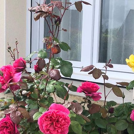 Chambre Chez L'Habitant "Les Roses De Sene" Exteriör bild